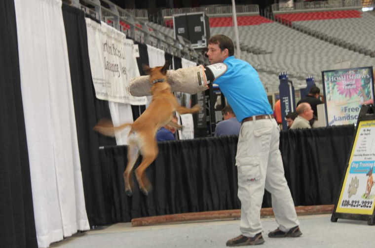 Home and Garden Show
